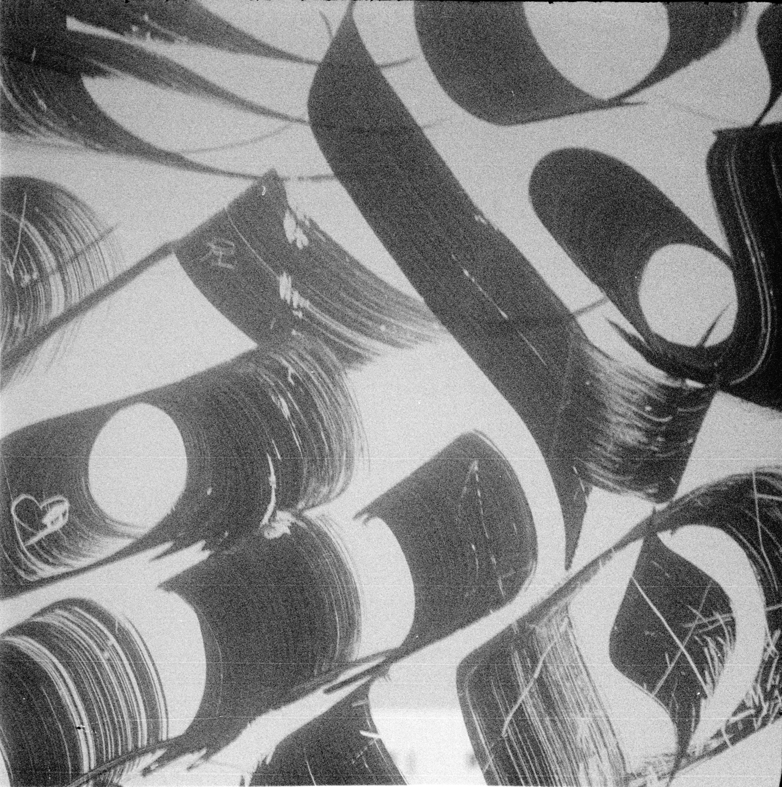 Ilford_pan400 (22).jpg