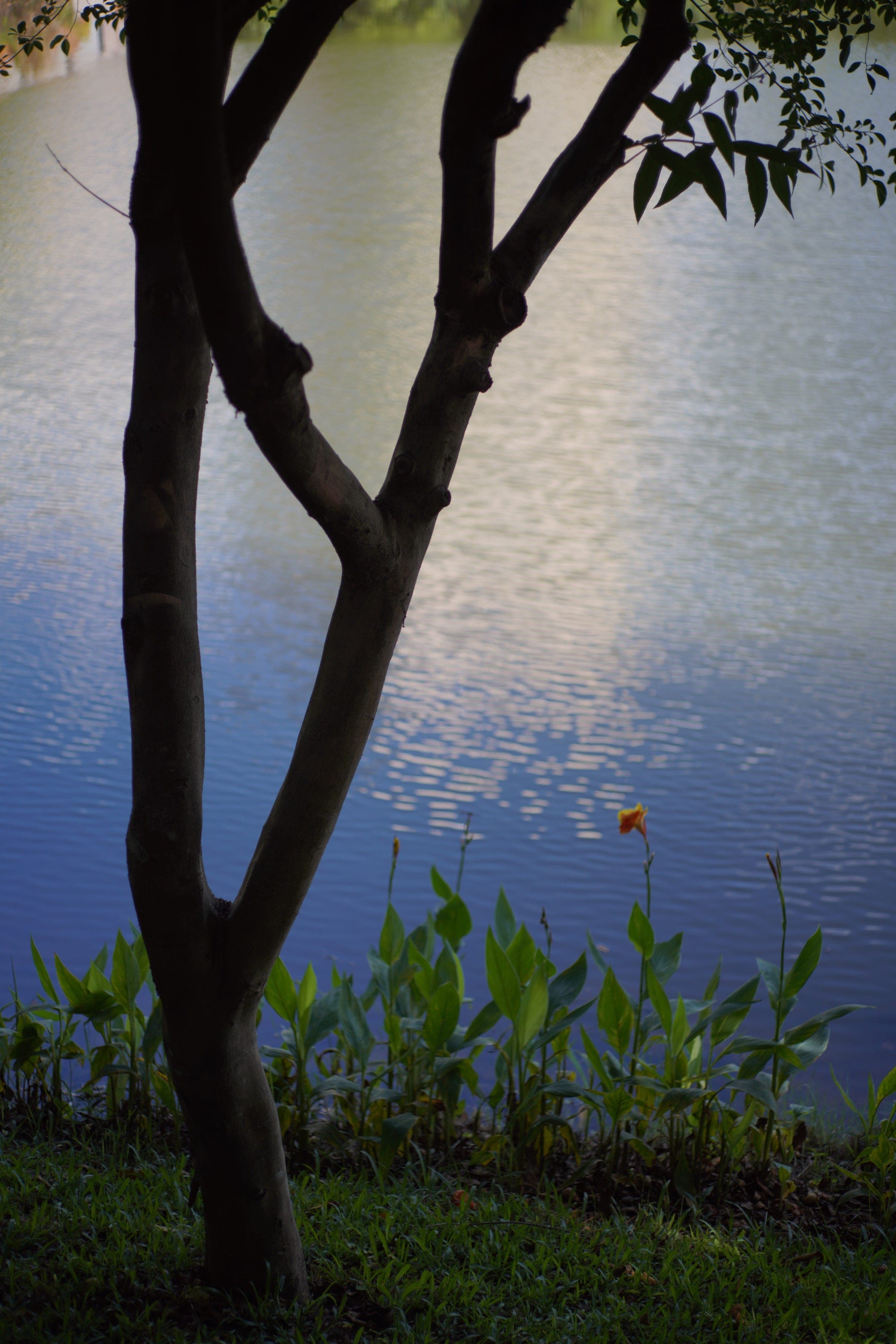 DSC09985.JPG
