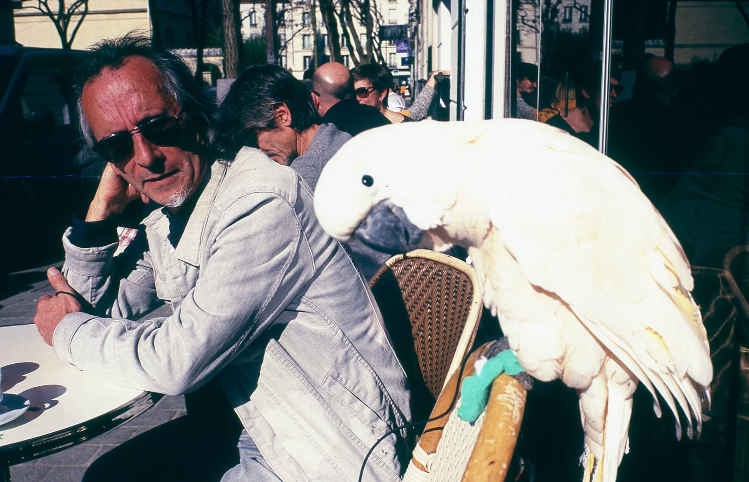 img428.jpg