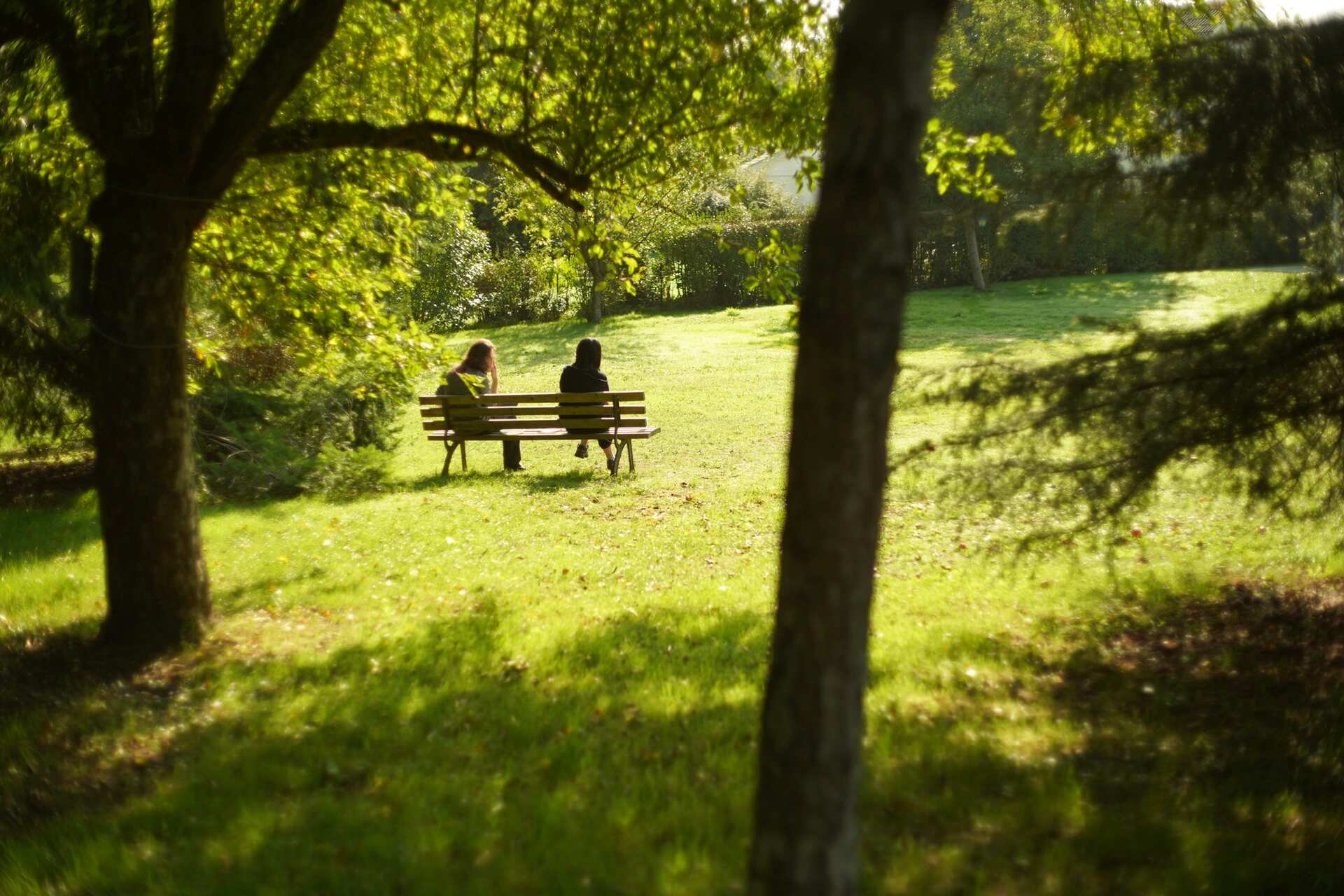 Park bench in backlight — soft contrast, romantic haze