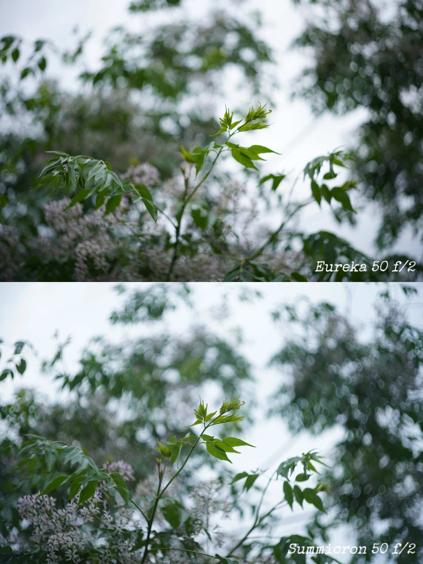 Bokeh comparison — swirl without hard edges